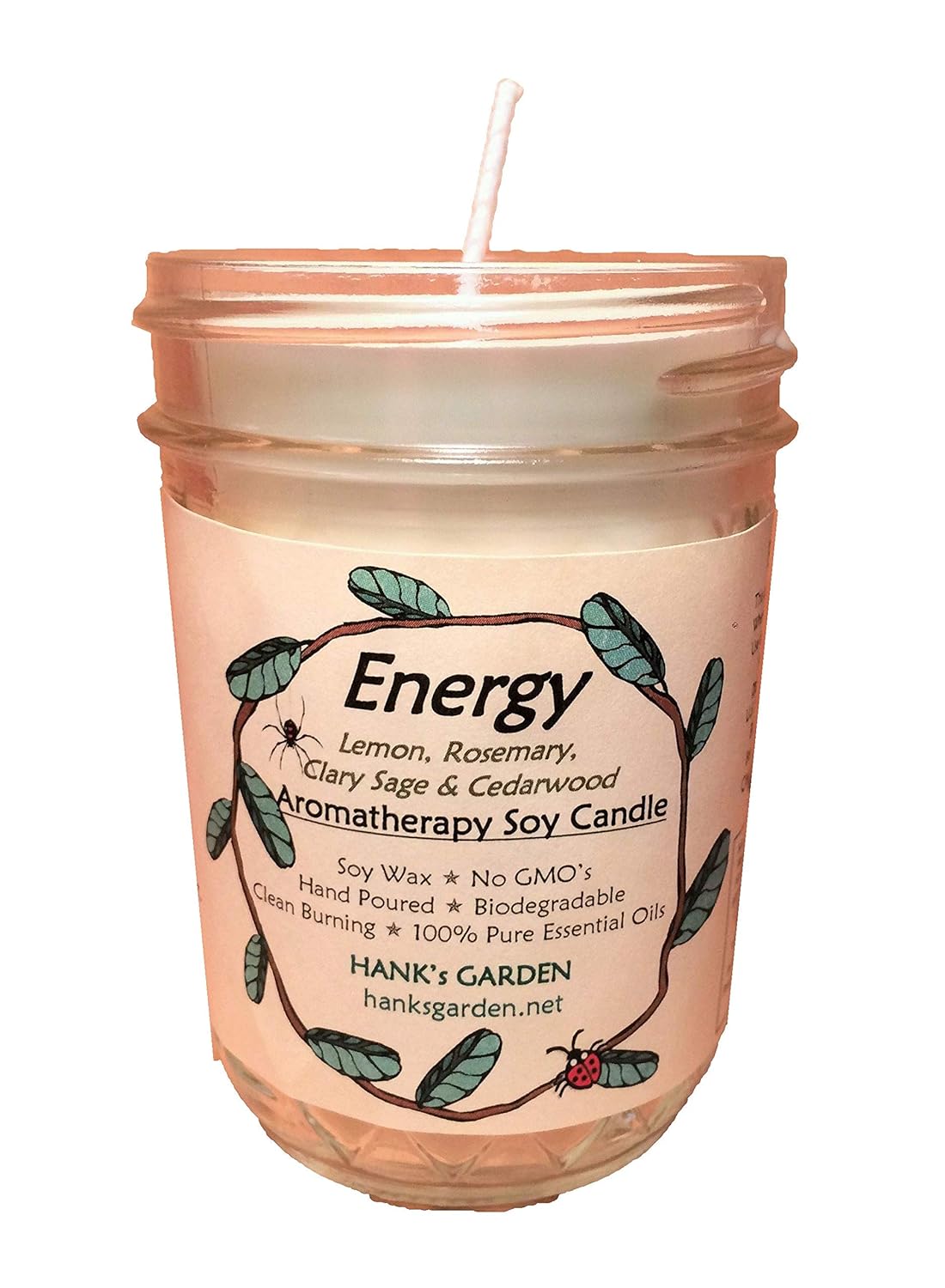 Energy Aromatherapy Soy Wax Candle - Lemon, Rosemary, Clary Sage, Cedarwood - 100% Pure Essential Oils, Biodegradable, Natural Dyes and Wicks, Clean Burn, No Soot, Non GMO (Soy Candle - 8 oz Jar)