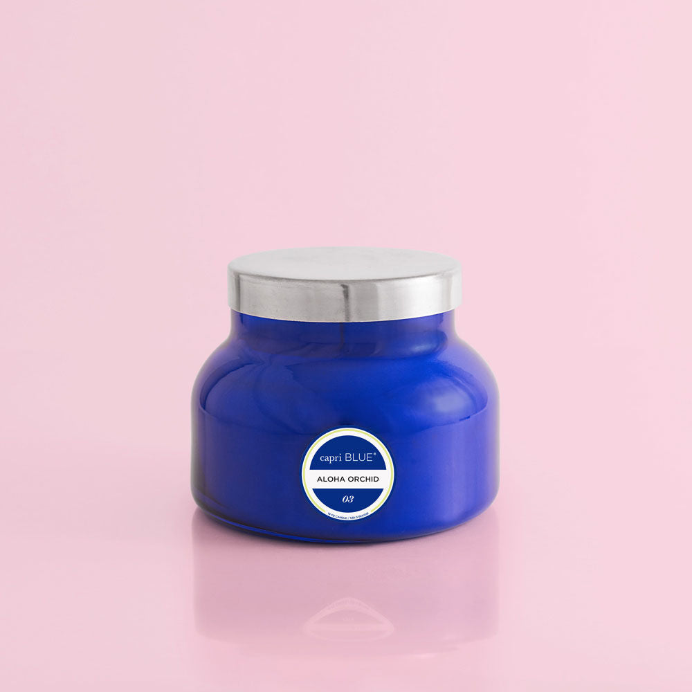 Blue Signature Jar - 19 oz